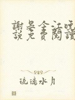 谢晏今江晚音小说免费阅读最新章节封面