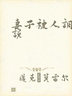 妻子被人调教小说