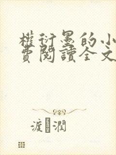 权衍墨的小说免费阅读全文