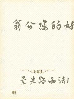 翁公您的好长呀封面