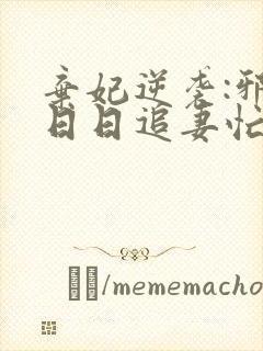 弃妃逆袭:邪王日日追妻忙全文阅读