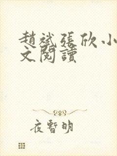 赵斌张欣小说全文阅读