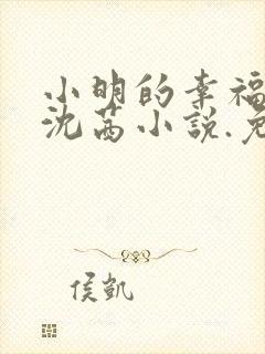 小明的幸福生活沈茜小说.免费阅读全文