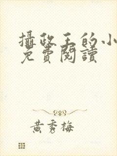 摄政王的小狂妃免费阅读
