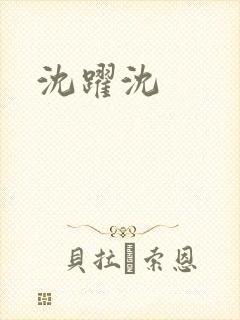 沈跃沈封面