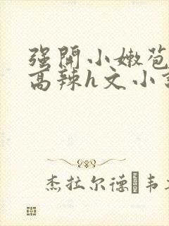 强开小嫩苞h文高辣h文小说