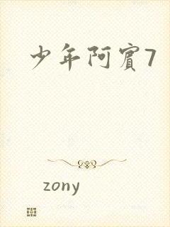少年阿宾7