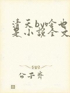 清天by啥也不是小说全文免费阅读