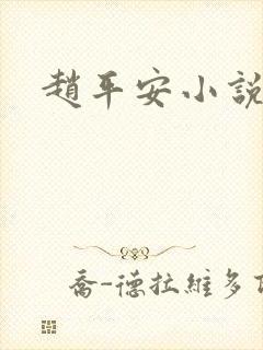 赵平安小说主角