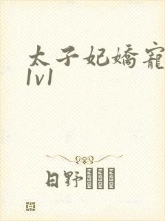 太子妃娇宠日常1v1