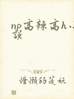 np高辣高h小说
