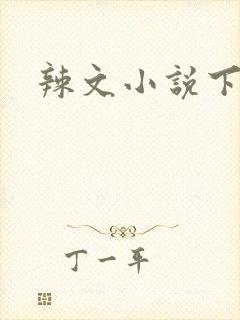 辣文小说下载
