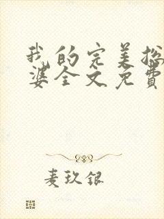 我的完美总裁老婆全文免费阅读封面