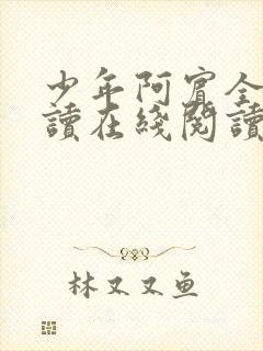 少年阿宾全文阅读在线阅读全文封面