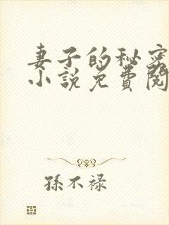 妻子的秘密吴双小说免费阅读