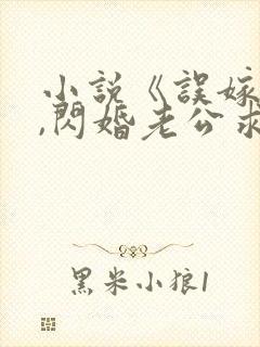 小说《误嫁豪门,闪婚老公求见面》