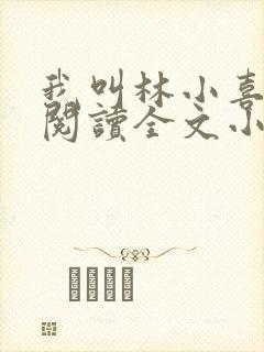 我叫林小喜免费阅读全文小说