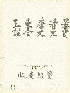 王东唐潇最新小说全文免费阅读封面