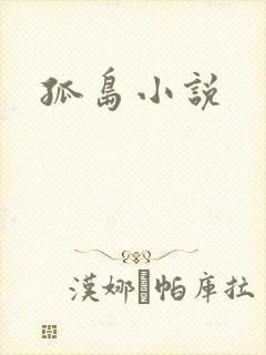 孤岛小说
