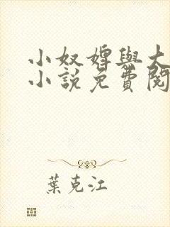 小奴婢与大少爷小说免费阅读