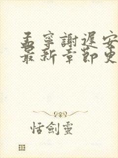 孟宁谢迟安小说最新章节更新免费阅读