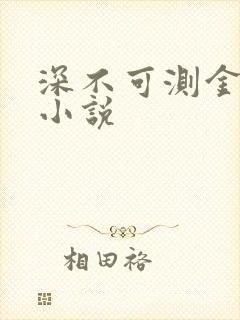 深不可测金银花小说封面