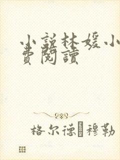 小说林媛小正免费阅读