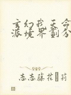 玄幻我天命大反派境界划分