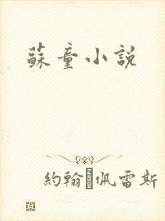 苏童小说