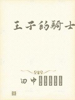王子的骑士