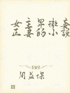 女主卑微妾伺候正妻的小说