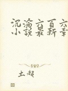 沉沦六百六十六小说最新章节更新