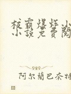 校霸爆炸小漂亮小说免费阅读