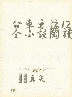 公车之狼12集全小说阅读
