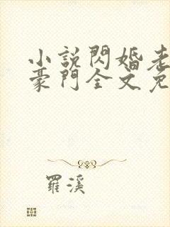 小说闪婚老公是豪门全文免费阅读