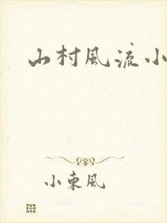 山村风流小说封面