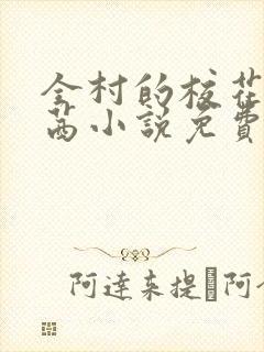 全村的校花叶茜茜小说免费阅读