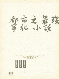 都市之最强战神宁北 小说