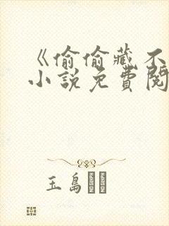 《偷偷藏不住》小说免费阅读