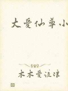大爱仙尊小说