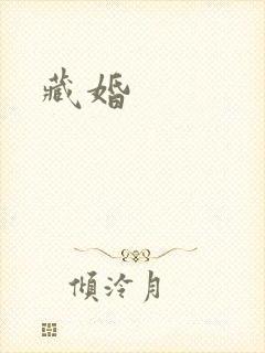 藏婚封面