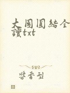 大团圆结全文阅读txt