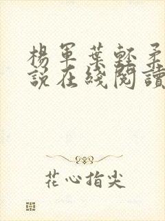 杨军叶轻柔的小说在线阅读