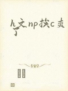 h文np挨c爽了