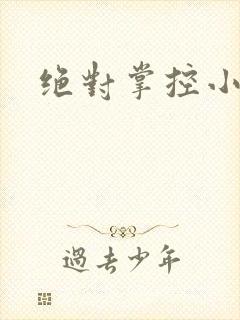 绝对掌控小说