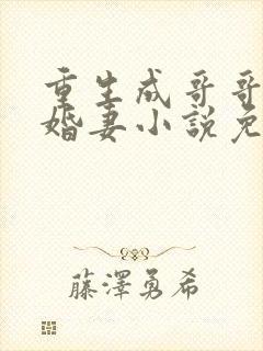 重生成哥哥的未婚妻小说免费阅读