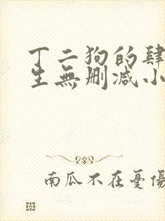 丁二狗的肆意人生无删减小说免费
