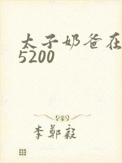 太子奶爸在花都5200封面