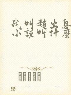我叫赵出息原著小说叫什么封面