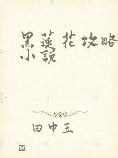 黑莲花攻略手册小说